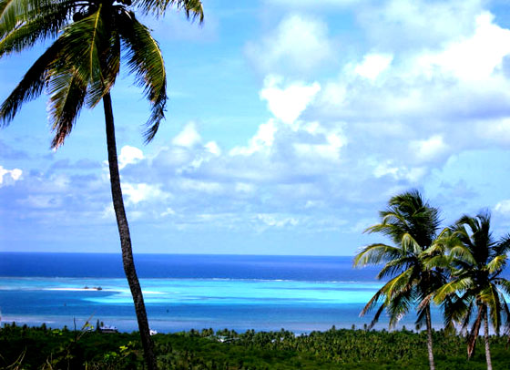 http://www.polukai.com/ocean-blue-palms.jpg